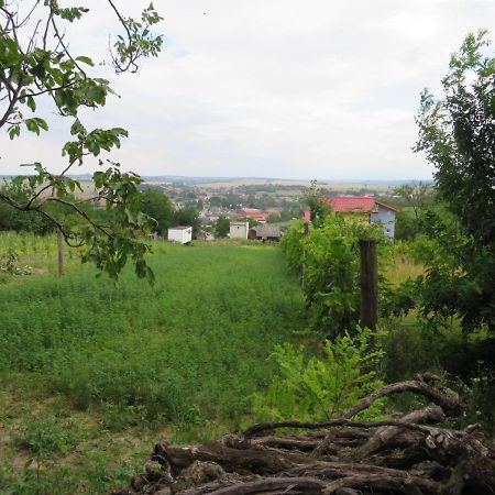 Apartman Bohemia Podhájska Exterior foto